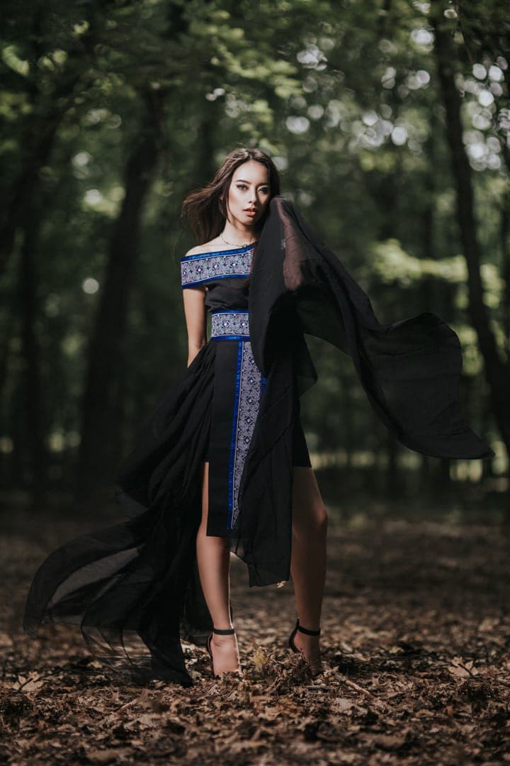 Hmong gallery image 2
