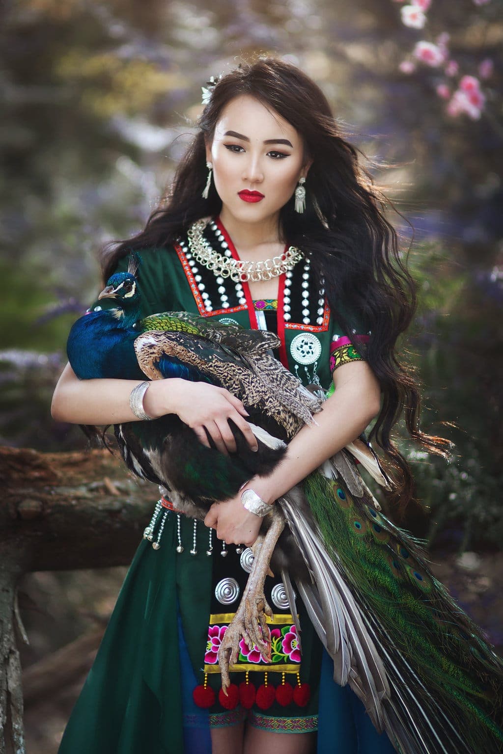 Hmong gallery image 8